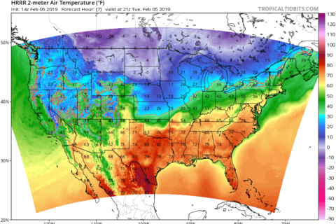Out with the cold (for now): DC to feel spring-like highs in February