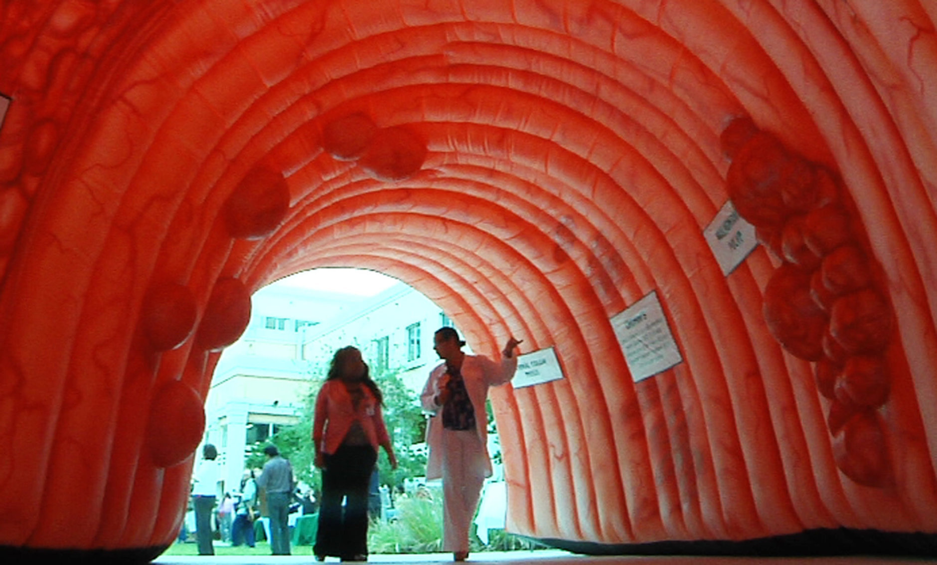 A Sylvester Comprehensive Cancer Center employee gives a tour inside a giant inflatable colon on display on the University of Miami Health System campus in Miami, Friday, March 22, 2013. The inflatable is part of the hospital's Colorectal Cancer Awareness Month community education outreach. (AP Photo/Suzette Laboy)