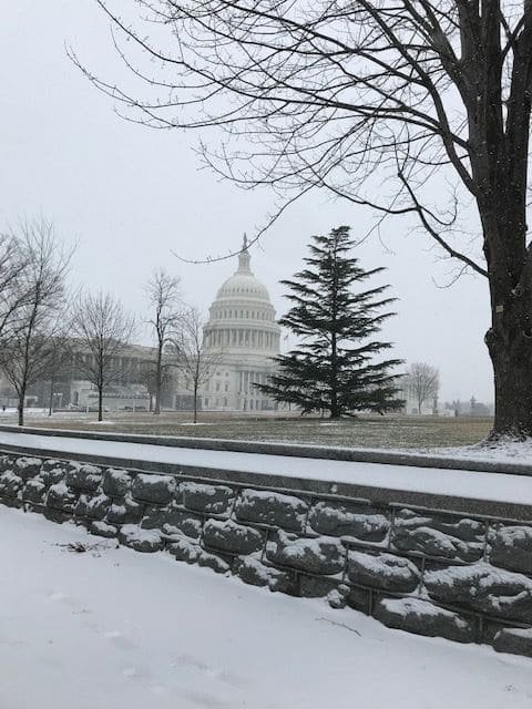 The Capitol on a snowy morning in D.C. (WTOP/Mitch Miller) 