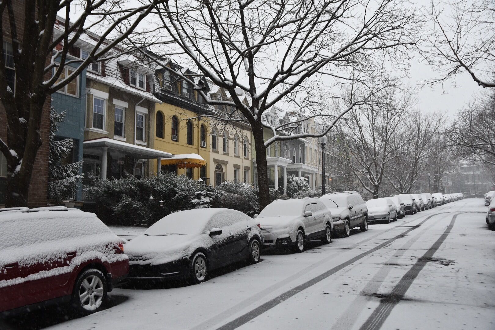 Snow in D.C.'s Woodley Park neighborhood. (WTOP/Alejandro Alvarez) 