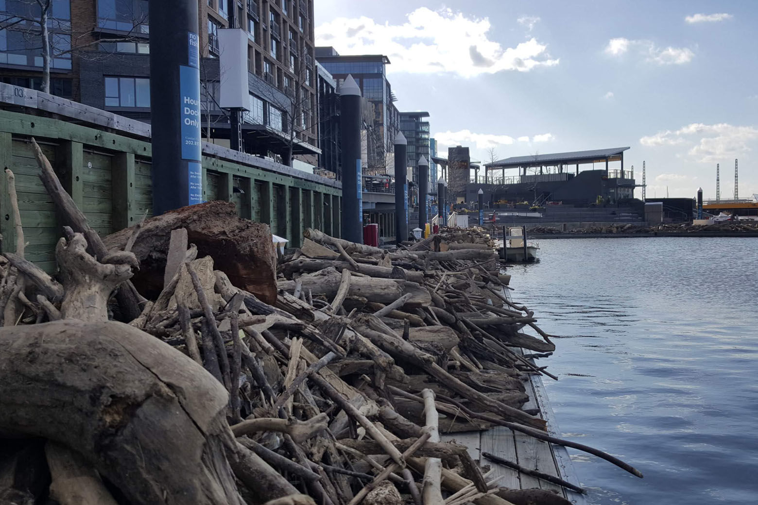 Collected debris being sorted on Wharf Cove (between Transit Pier and Market Pier) as part of The Wharf's Washington Channel Water Clean Up initiative. (Courtesy Patrick Revord)