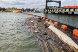 A year's worth of record rainfall has helped push generous amounts of trash, debris and wood of various sizes downstream and into area waterways. (WTOP/Kristi King)