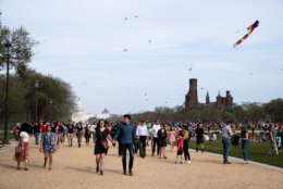 Kites fly over the National Mall on March 30. The yearly kite festival brings thousands to the Mall on its own — and 2019's festival coincided with the days leading up to peak bloom for the cherry blossoms, itself one of D.C.'s most popular days for tourists. (WTOP/Alejandro Alvarez)