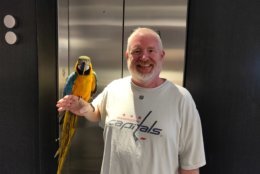Polly hangs out with WTOP Traffic reporter Jack Taylor at the newsroom. (WTOP/Mike McMearty)