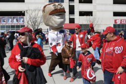 Teddy, one of the racing presidents, greets fans at the gates before a baseball game between the Washington Nationals and the New York Mets, Thursday, March 28, 2019, in Washington. (AP Photo/Nick Wass)