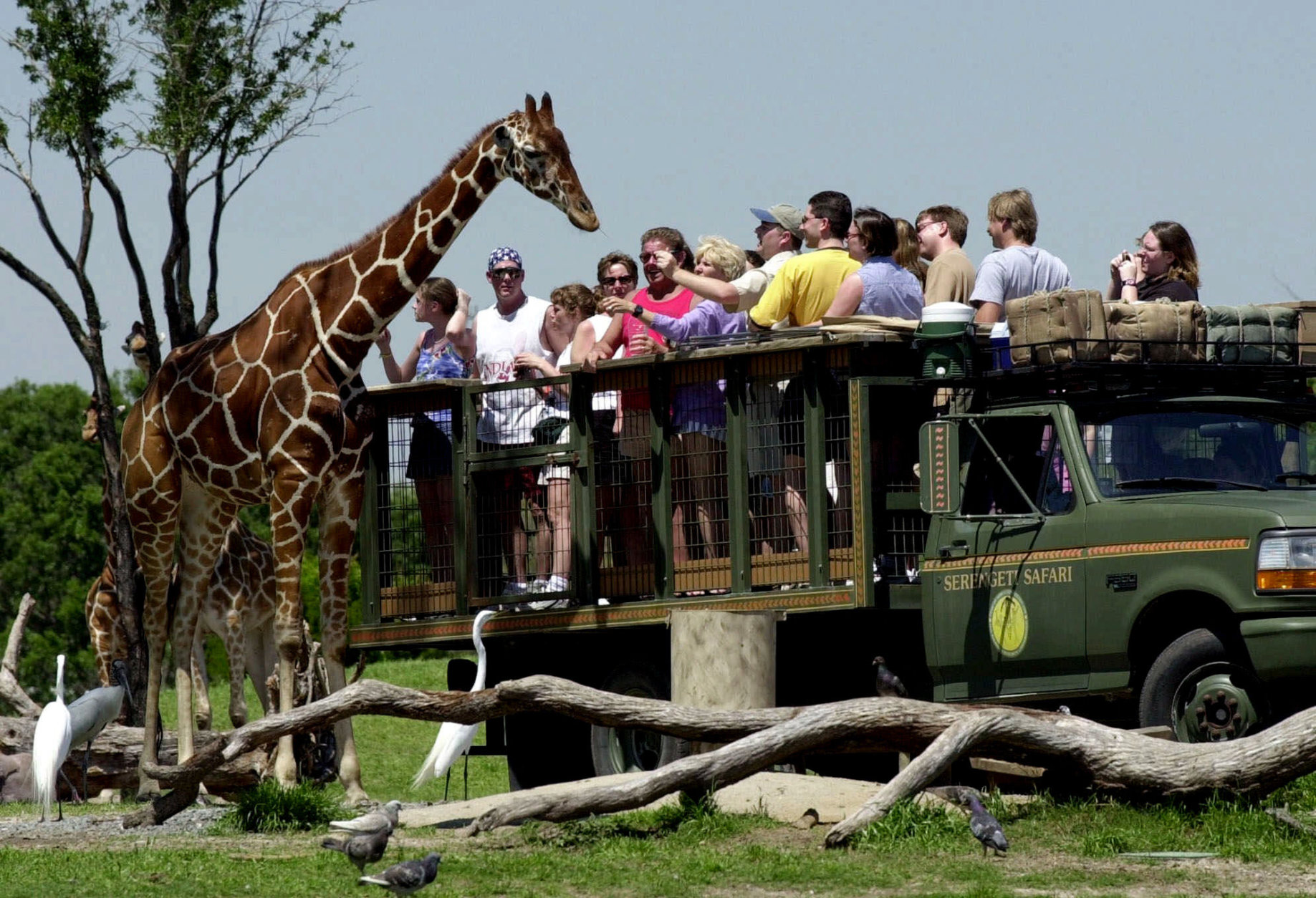 Persuasion Grader celsius pisk 30 best zoos in the US - WTOP News