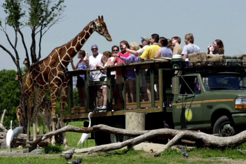 30 best zoos in the US