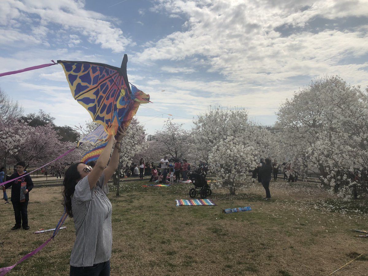 People fly kites near the Washington Monument on March 30, 2019. (WTOP/Melissa Howell)