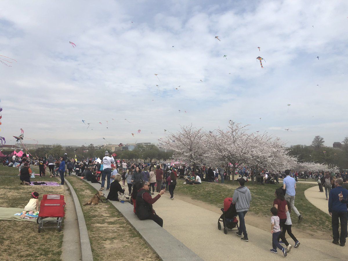 People take advantage of the beautiful spring weather on March 30, 2019. (WTOP/Melissa Howell)