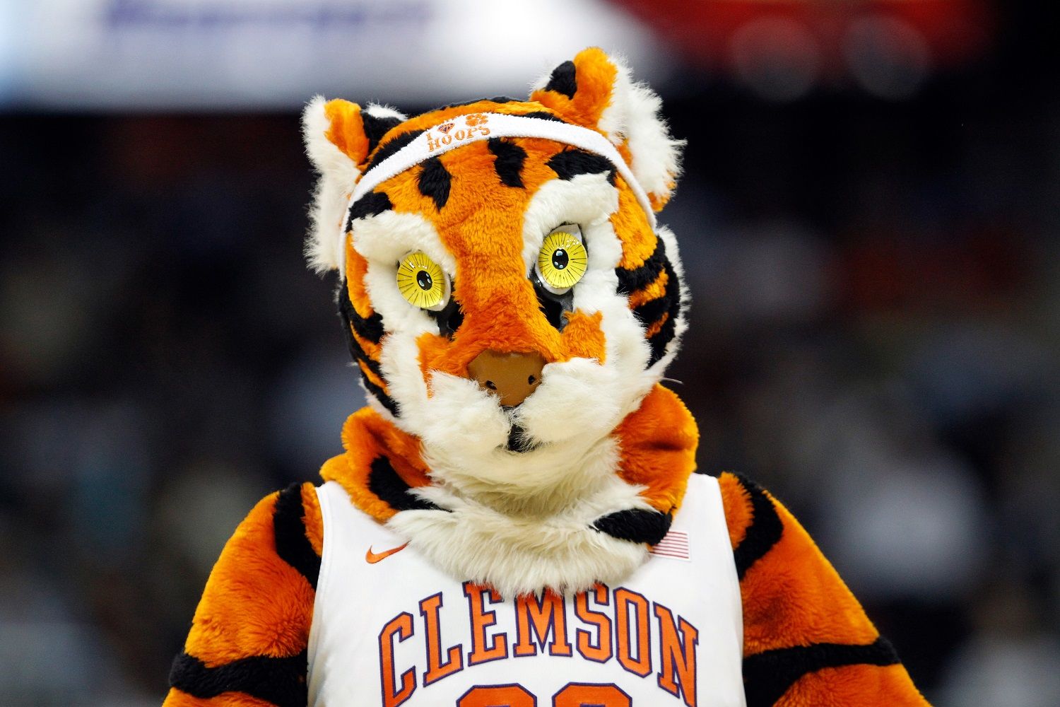 ATLANTA, GA - MARCH 08:  The mascot of the Clemson Tigers during their first round game of 2012 ACC Men's Basketball Conferene Tournament at Philips Arena on March 8, 2012 in Atlanta, Georgia.  (Photo by Streeter Lecka/Getty Images)