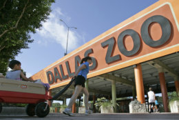 The entrance to the Dallas Zoo in Dallas,  Tuesday, June 3, 2008.  (AP Photo/Steve Helber)