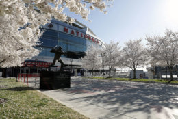 WASHINGTON, DC - MARCH 28: Cherry blossoms are seen outside the stadium prior to the game between the New York Mets and Washington Nationals on Opening Day at Nationals Park on March 28, 2019 in Washington, DC. (Photo by Patrick McDermott/Getty Images)