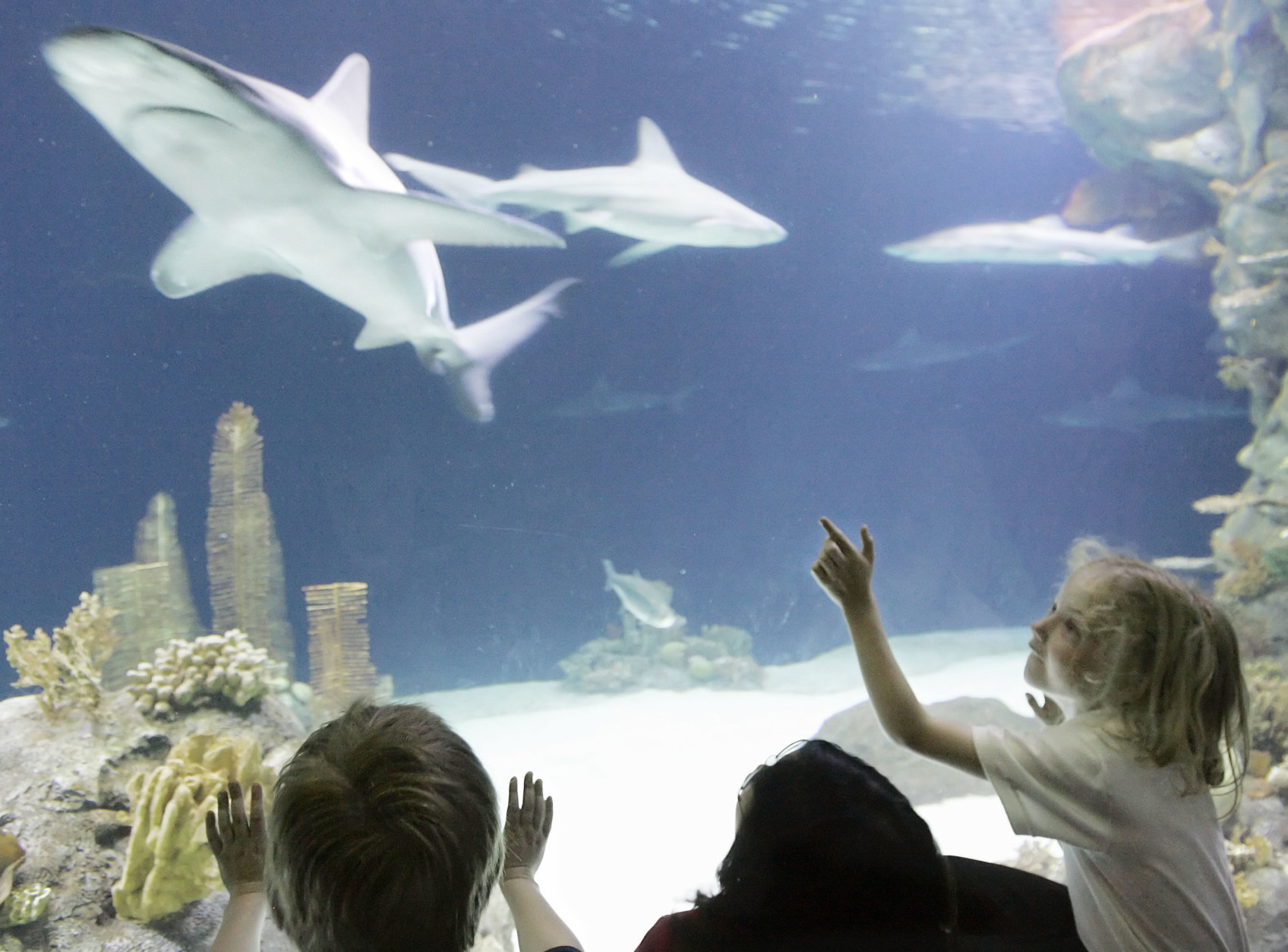 Rachel Klatt, 7,  of Columbus, Neb., points at a shark while visiting Omaha's Henry Doorly zoo on a school trip, Tuesday, May 23, 2006.(AP Photo/Nati Harnik)