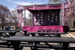 The Cherry Blossom Festival’s main stage,. The annual festival features musicians, art exhibitions and parades for weeks in late March through early April. (WTOP/Alejandro Alvarez)