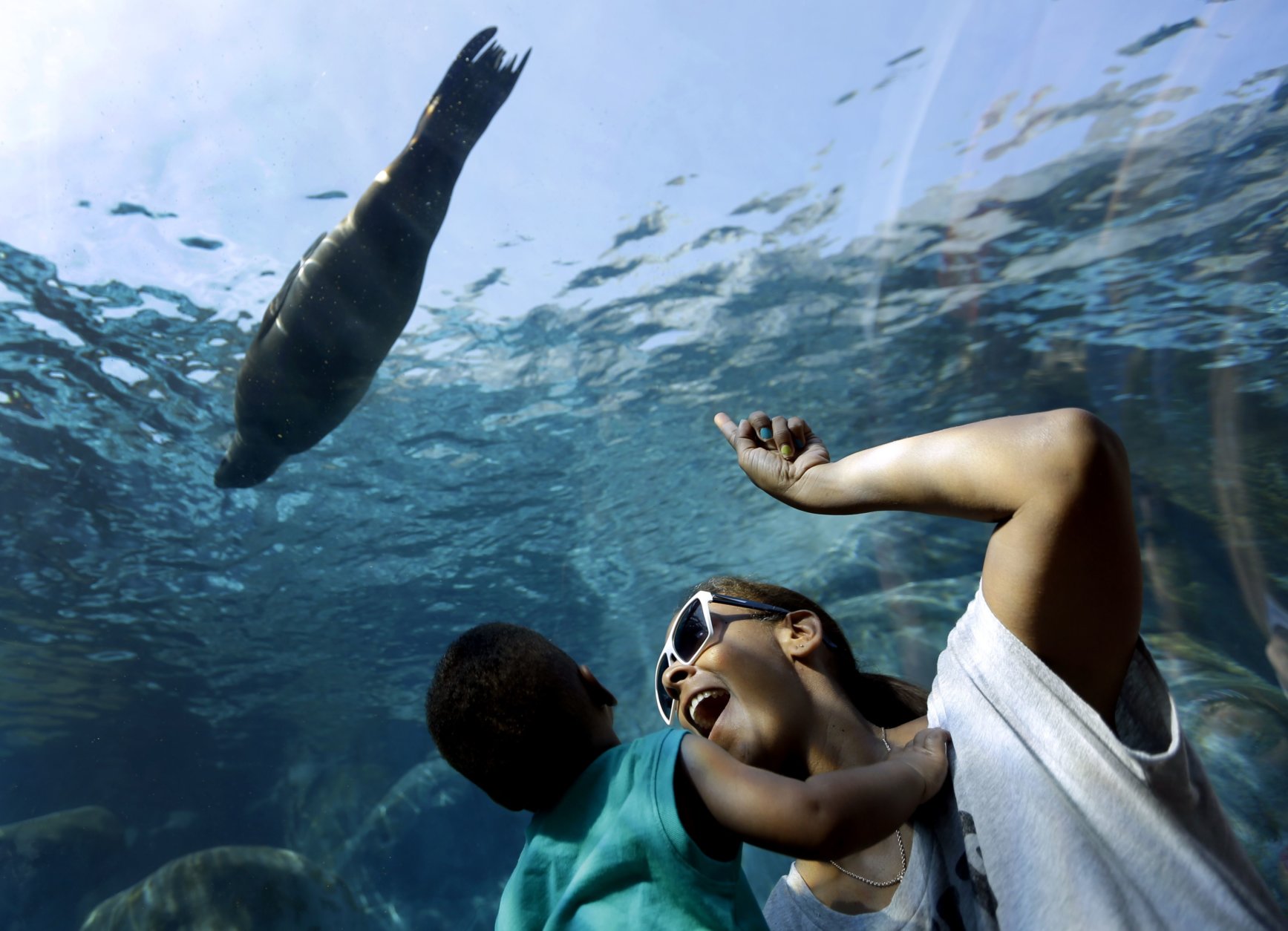 Danielle Kennedy and her son Kingston, 1, watch as a sea lion swims overhead in a Saint Louis Zoo exhibit Thursday, Sept. 5, 2013, in St. Louis. In the exhibit, visitors walk through an underwater tunnel to watch as sea lions frolic overhead and all around. (AP Photo/Jeff Roberson)