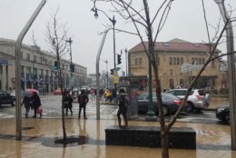 Snow falls in Columbia Heights, D.C. (WTOP/Will Vitka)