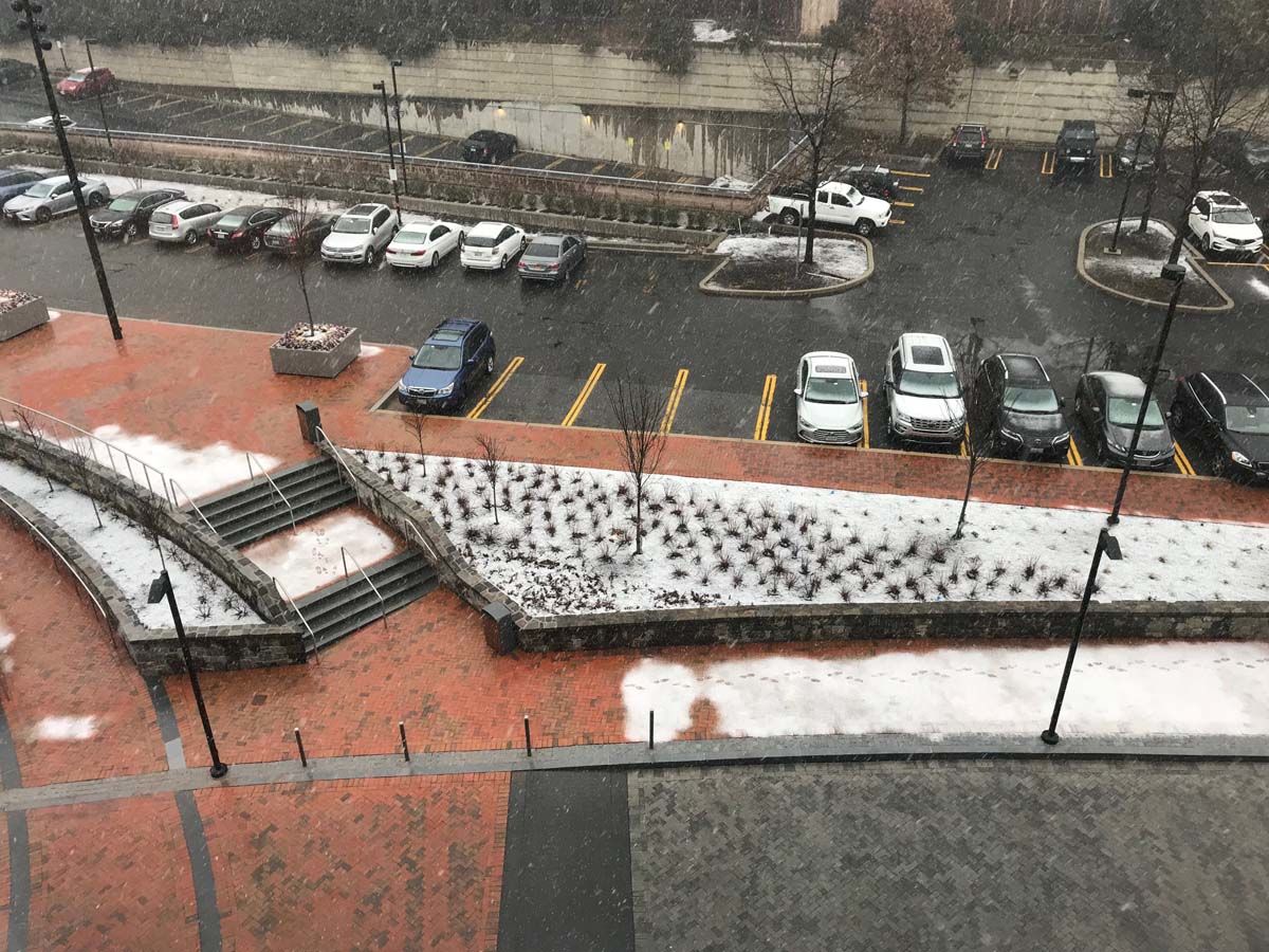Snow falls outside the Glass-Enclosed Nerve Center in Friendship Heights. (WTOP/Reem Nadeem)