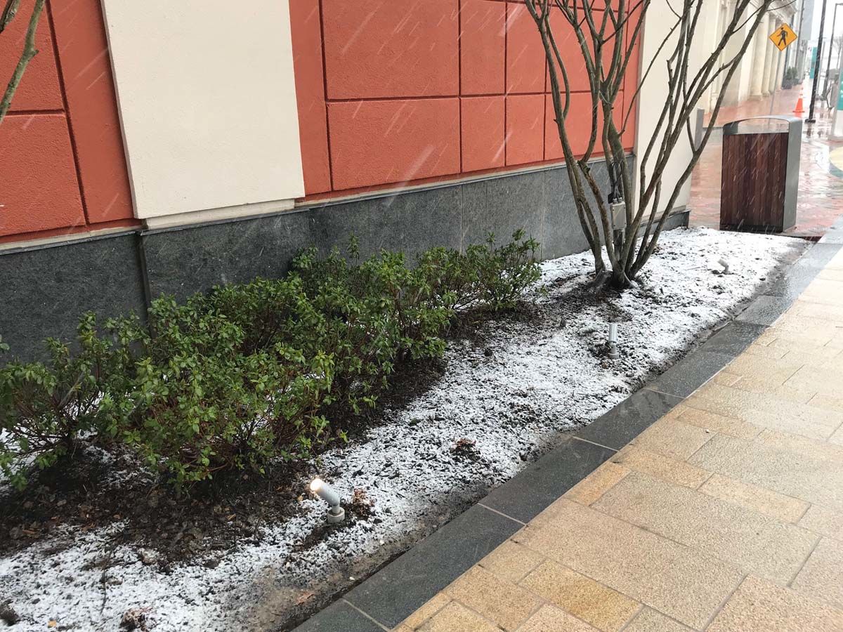 Snow sticks to grassy areas outside WTOP in Friendship Heights. (WTOP/Reem Nadeem)
