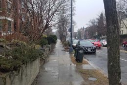 Snow falls on wet roads in Columbia Heights in Northwest D.C. (WTOP/Will Vitka)