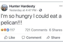 The Florida Fish and Wildlife Conservation Commission is working to determine what charges might be appropriate to bring against Hardesty. (Screenshot via Facebook)