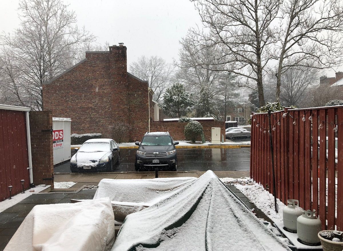 Snow falls in Springfield, Virginia, on Friday, March 8, 209. (Courtesy WTOP listener)