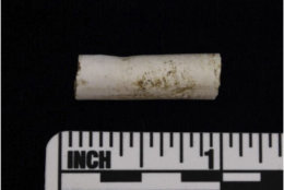 This is the tobacco pipe stem on which the DNA was found.  See the indentation on top and to the left?  Scientists say that was created by someone holding the pipe in their teeth. (Courtesy MDOT SHA)
