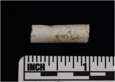 This is the tobacco pipe stem on which the DNA was found.  See the indentation on top and to the left?  Scientists say that was created by someone holding the pipe in their teeth. (Courtesy MDOT SHA)