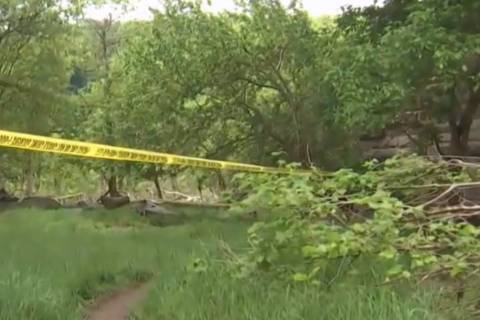 Body found under Chain Bridge was murder victim