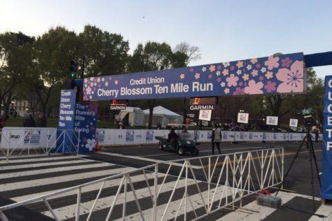 Weekend road closures for DC’s Credit Union Cherry Blossom runs
