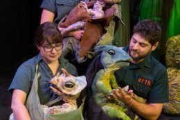 "Erth's Dinosaur Zoo Live" mixes paleontology and puppetry. (Photo by C. Waits) 