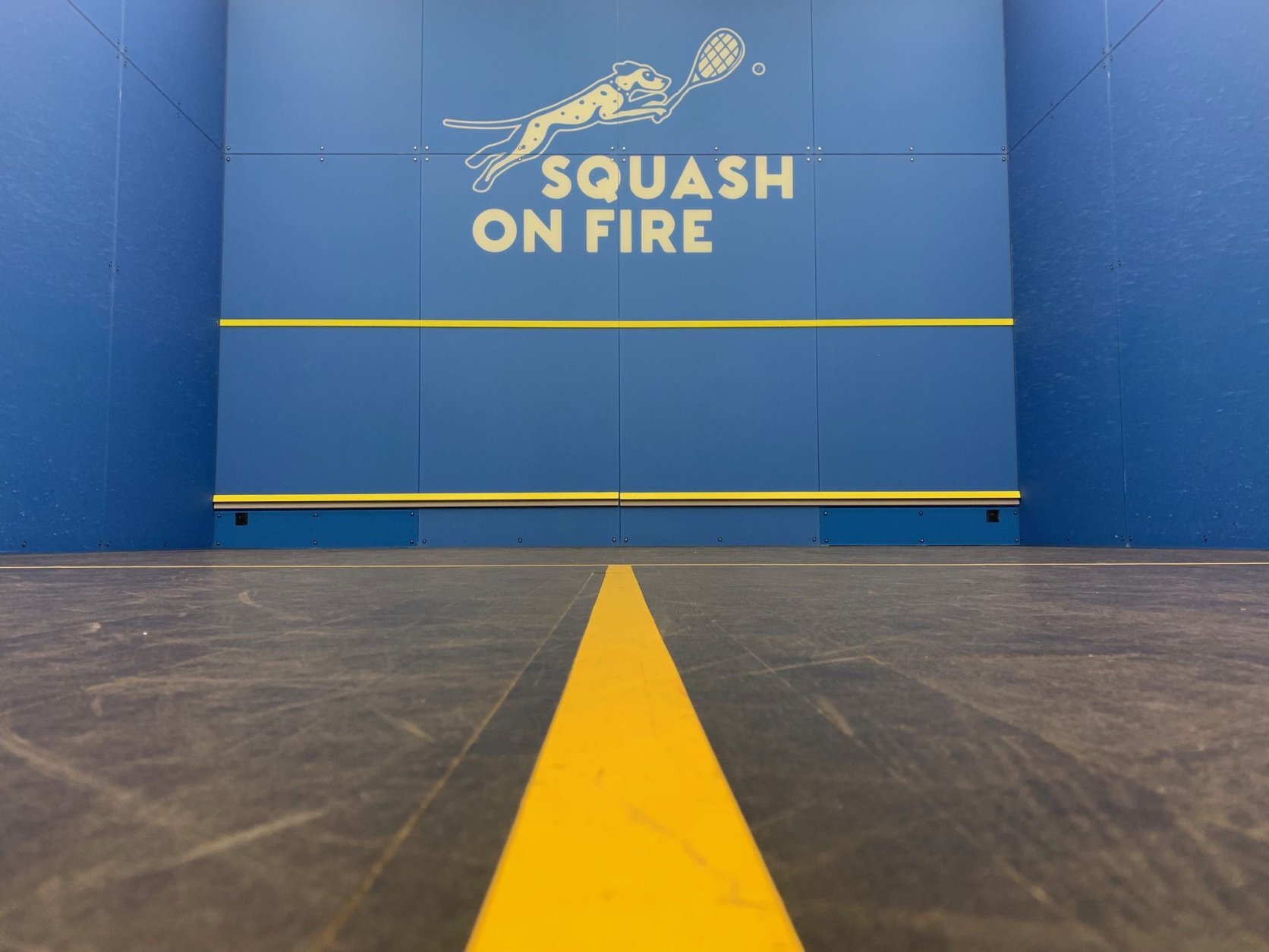 One of the courts at Squash On Fire. Squash courts are 21 feet wide and 32 feet deep. (WTOP/Noah Frank)