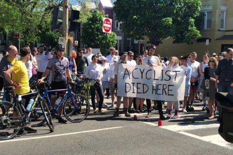 DC man gets 8 1/2 years in death of well-known bicycling advocate