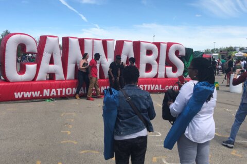 National Cannabis Festival reflects marijuana’s move into the mainstream