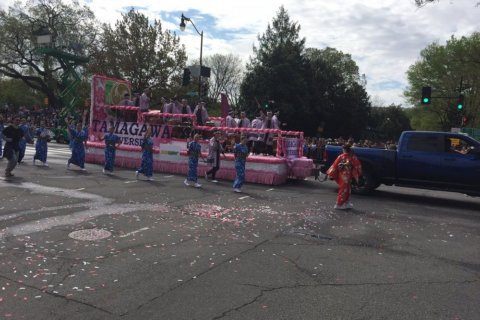 PHOTOS: National cherry blossom parade brings spectators across DC