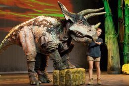 “Earth’s Dinosaur Zoo Live” takes audiences on a prehistoric journey into a new dimension where they get to meet a menagerie of insects and dinosaurs that roamed the planet millions of years ago. (Photo by C. Waits)