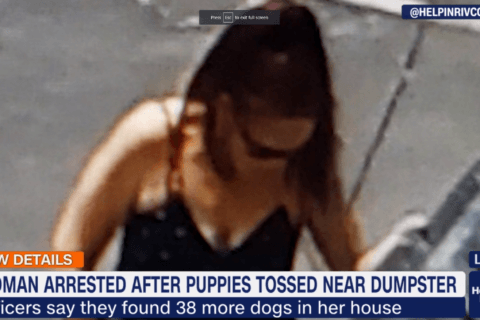 Woman held for allegedly dumping puppies in California trash