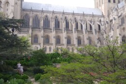 The Bishop's Garden at the Washington National Cathedral