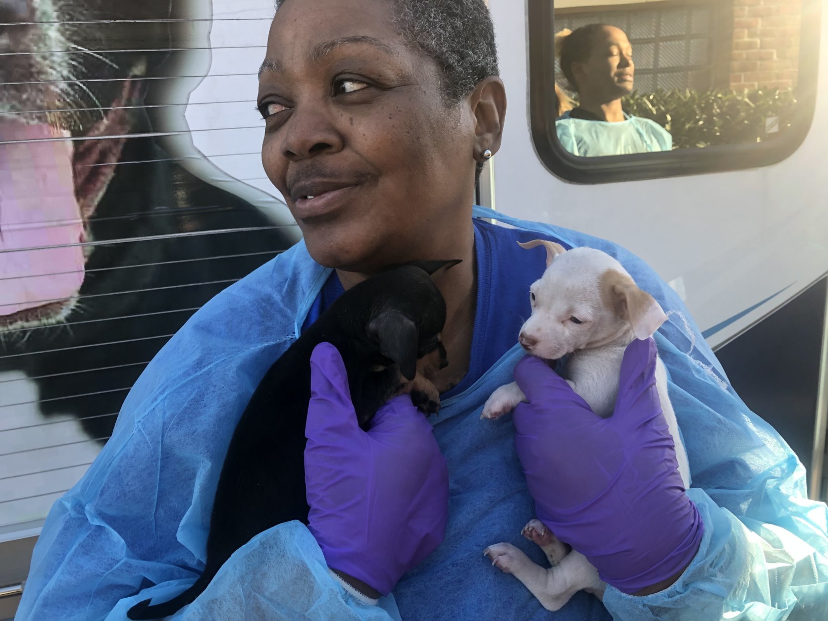 Around 60 of the rescued animals were brought to the D.C. area. Close to 30 dogs rescued from the breeder’s home were also delivered to Loudoun County Animal Services. (WTOP/Mike Murillo)