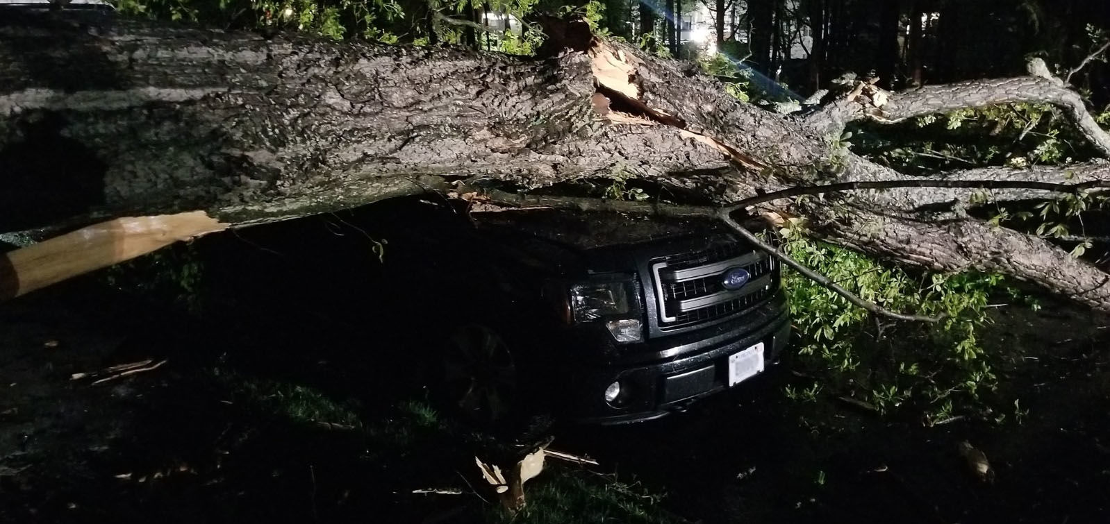 A tree falls on a vehicle in Reston, Virginia, on Friday, April 19, 2019, after two storms passed through the area. (Courtesy Greg in Reston)
