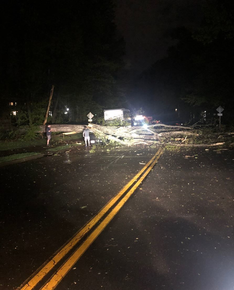 A tree is seen on a car near Reston, Virginia, after a tornado touched down in the area (Courtesy Twitter user @bdwy27)