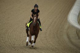 Kentucky Derby entrant Country House is ridden on the track during a workout at Churchill Downs Wednesday, May 1, 2019, in Louisville, Ky. The 145th running of the Kentucky Derby is scheduled for Saturday, May 4. (AP Photo/Charlie Riedel)