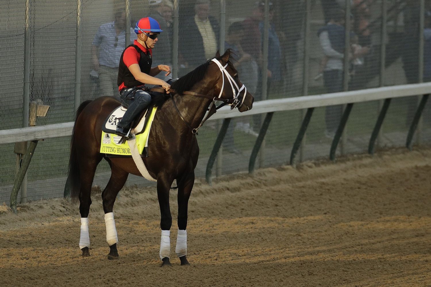 Kentucky Derby entrant Cutting Humor waits on the track during a workout at Churchill Downs Wednesday, May 1, 2019, in Louisville, Ky. The 145th running of the Kentucky Derby is scheduled for Saturday, May 4. (AP Photo/Charlie Riedel)