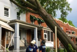 A tree fell into a house on 18th Place in Southeast D.C. (Courtesy DC Fire and EMS)