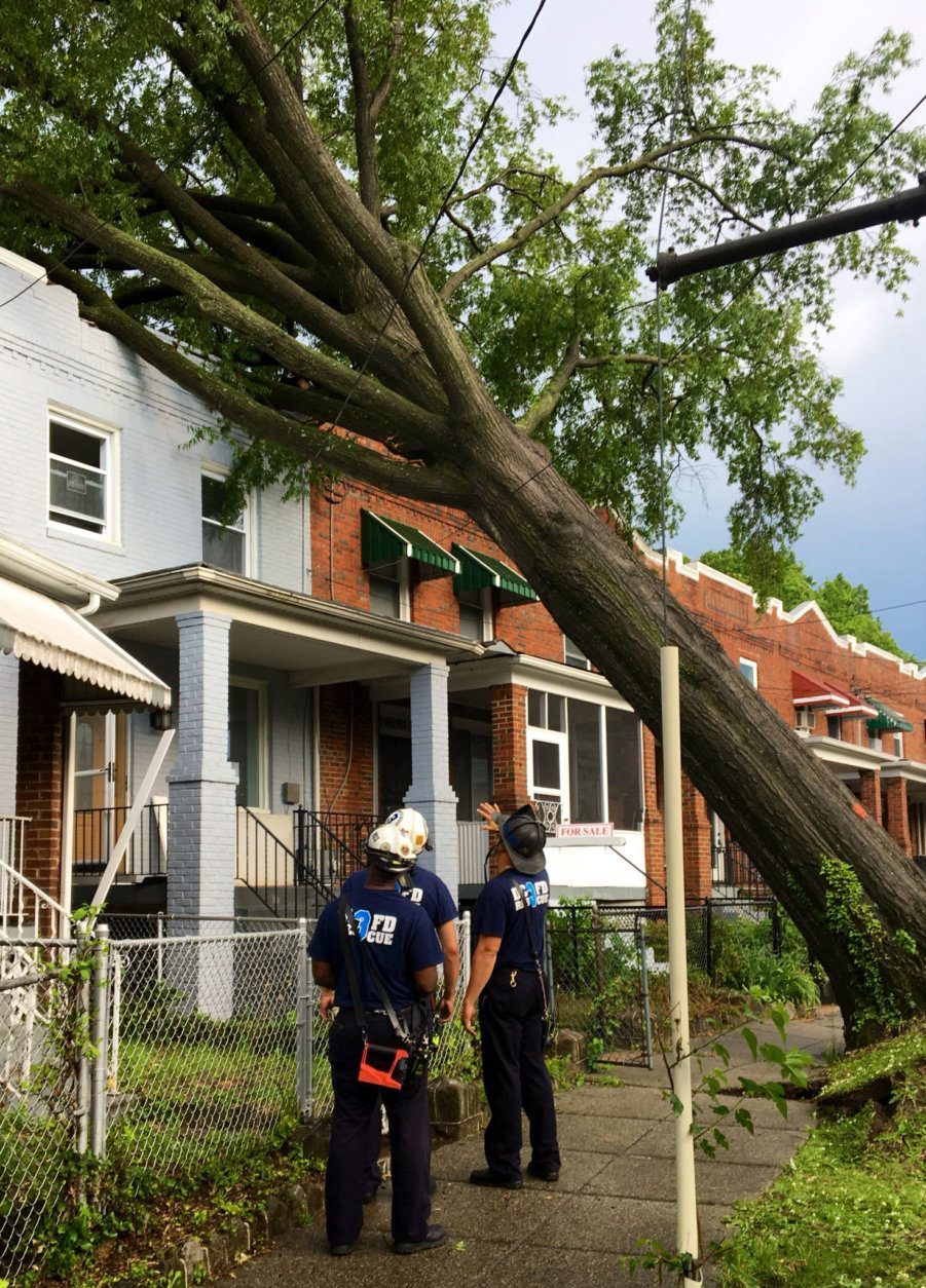 A tree fell into a house on 18th Place in Southeast D.C. (Courtesy DC Fire and EMS)