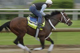 Kentucky Derby hopeful Haikal is ridden during a workout at Churchill Downs Tuesday, April 30, 2019, in Louisville, Ky. The 145th running of the Kentucky Derby is scheduled for Saturday, May 4. (AP Photo/Charlie Riedel)