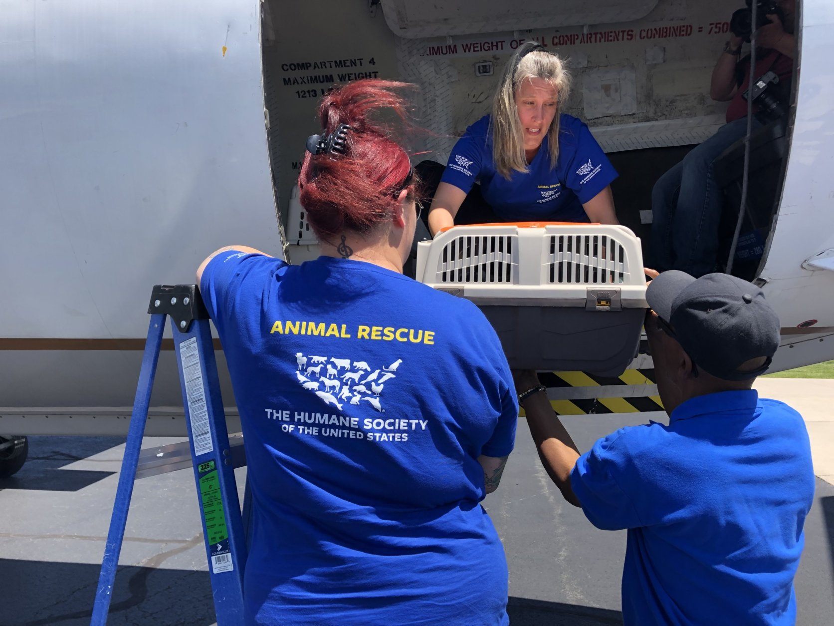 Animals that had been in the Tulsa, Oklahoma, area arrived Friday afternoon in D.C. (Courtesy Humane Rescue Alliance)