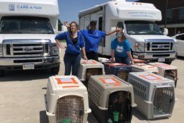 Animals that had been in the Tulsa, Oklahoma, area arrived Friday afternoon in D.C. (Courtesy Humane Rescue Alliance)