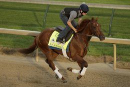 Kentucky Derby entrant Plus Que Parfait runs during a workout at Churchill Downs Wednesday, May 1, 2019, in Louisville, Ky. The 145th running of the Kentucky Derby is scheduled for Saturday, May 4. (AP Photo/Charlie Riedel)