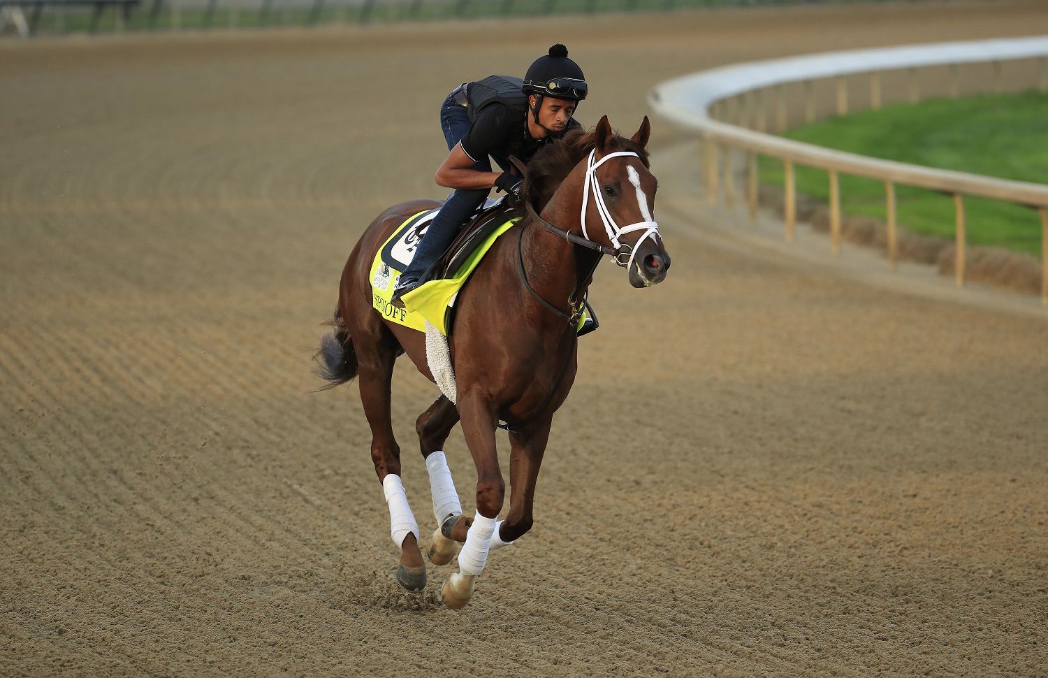 LOUISVILLE, KENTUCKY - MAY 01: Spinoff runs on the track during morning training for the Kentucky Derby at Churchill Downs on May 1, 2019 in Louisville, Kentucky. (Photo by Andy Lyons/Getty Images)