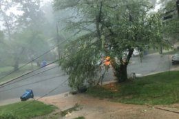 Downed wires due to a fallen tree causes a fire during a storm in the D.C. area on Thursday, May 23, 2019. (Courtesy Sophia Abedellatif)
